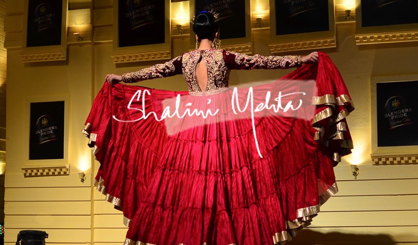 WordPress website for Shalini Mehta an accomplished multifaceted individual